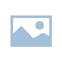 暖心庆生 情满五月员工生日会